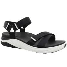 RACQUEL WEBBING